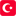 Turkiye flag