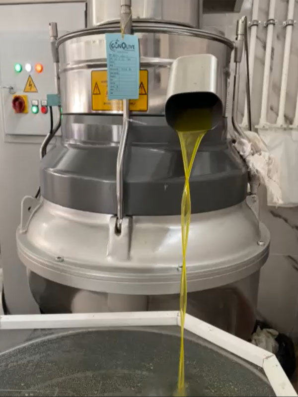 Zeytinlerin Yağ Haline Gelmesi